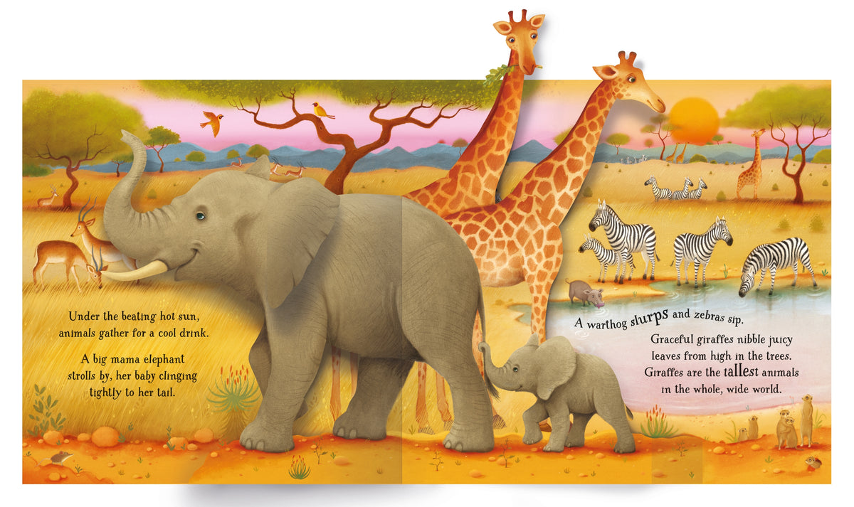 Pop-up Animals interior 1 (ISBN 9781474968027) [onix-asset:0264b77ebad5776ff5a8abd7e8a85b94be6529d8ec4e430371af64cb772e0374]