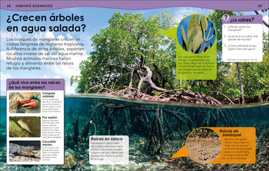 ¿Sabías qué? Océanos (Did You Know? Ocean) interior 3 (ISBN 9798217129737) [onix:1e26b73856fe3485e0ba35b0ddc33f6c]