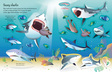 First Sticker Book Sharks and Rays interior 1 (ISBN 9781803709871) [onix-asset:547e85c914a32ea103cb9b2431956c8608d467b5caafa8a8a0d0193d43202c19]