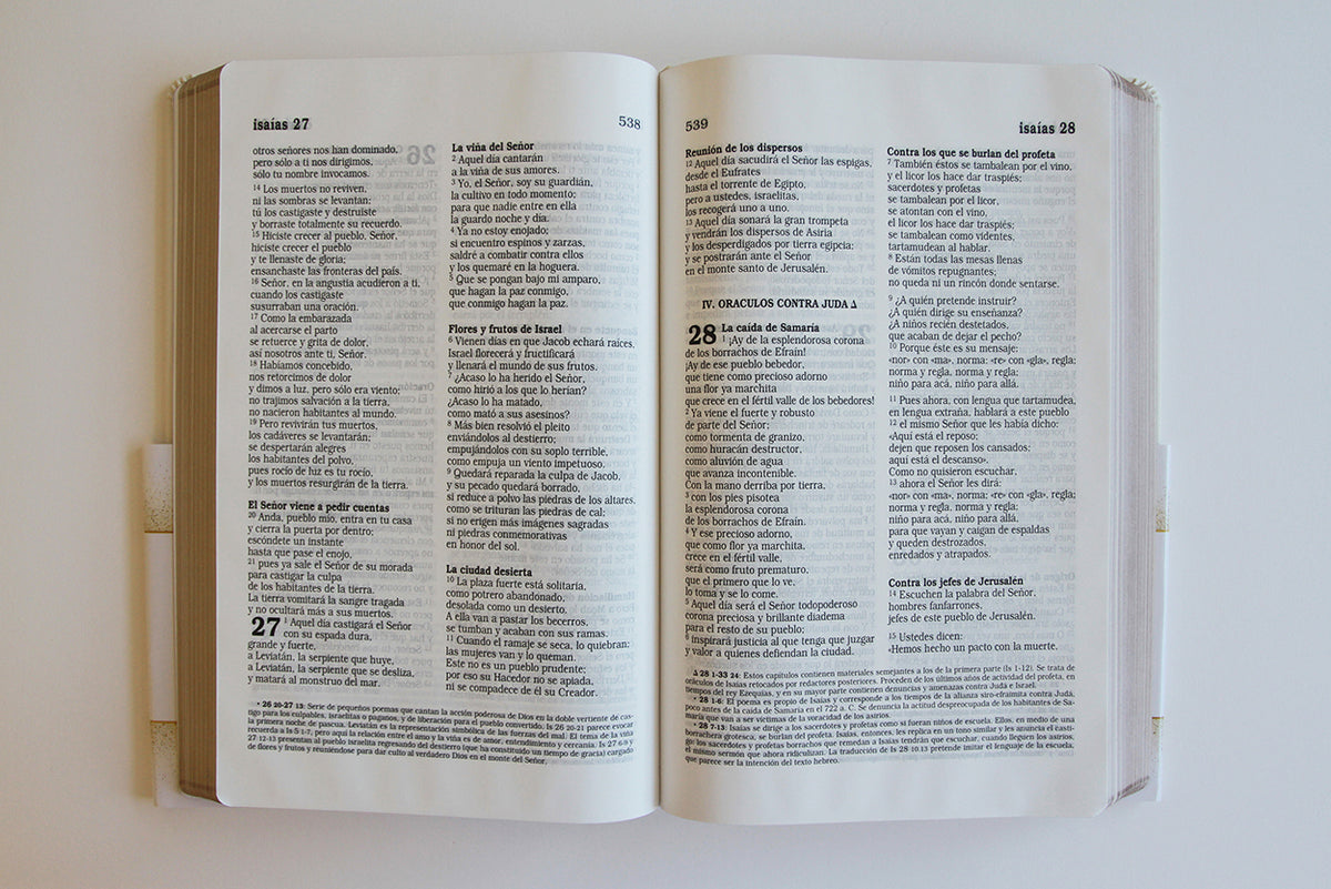 Biblia Católica: Letra grande. Símil piel blanca: boda, quinceañera, primera comu nión / Catholic Leathersoft White Bible: Bride, Quinceanera, First Communi interior 8 (ISBN 9798890980014) [onix:4da6842b100c5952b593431beff1a240]
