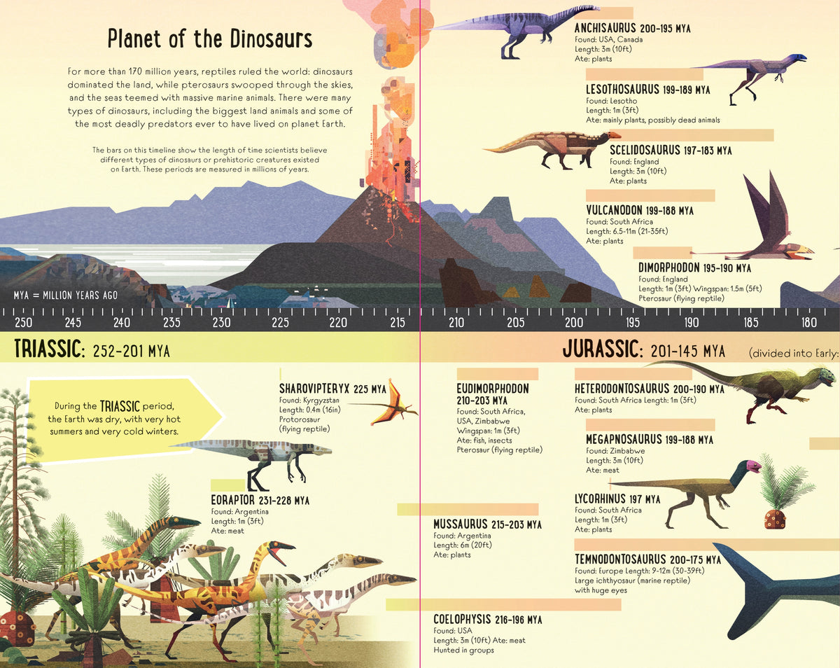 Fold-Out Dinosaur Timeline interior 1 (ISBN 9781474969062) [onix-asset:4b78a5012089d3c5b1ca432b6afd5b184c8d51bce10d471189db4cc249ae2d01]