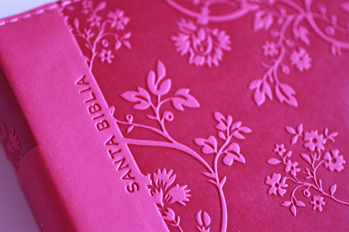 Biblia RVR 1960 letra gigante, tamaño manual, símil piel rosada, cremallera, índice / Spanish Bible RVR 1960 Giant Print, handy Size, Pink Leathersoft interior 11 (ISBN 9798890985088) [onix:7b0bb6827522b13e18108525d269b75d]