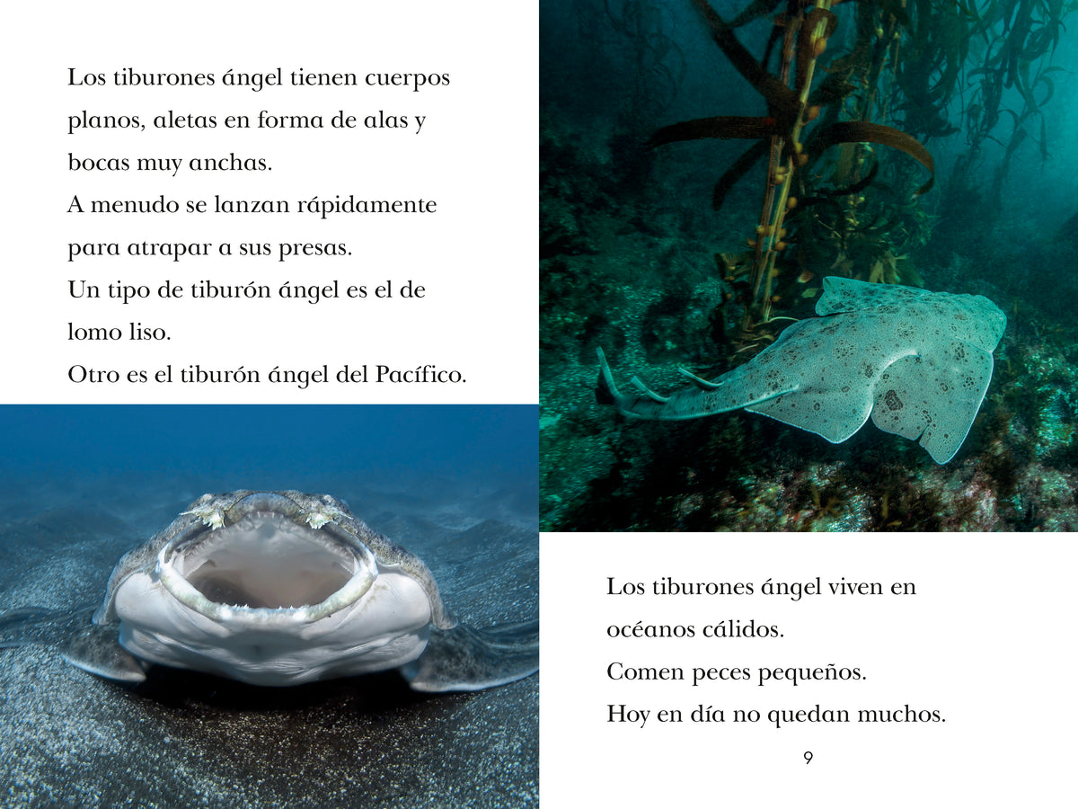 Book image [onix-asset:6387fab2f12608f2b44eeadb98235a2005b688c8c3f9dafddecf36899c5049c4]