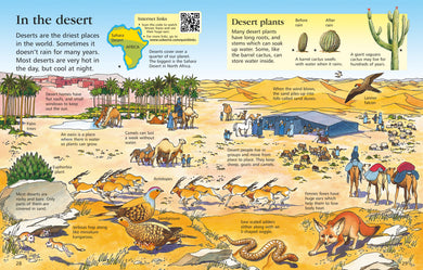 The Usborne Children's Encyclopedia interior 1 (ISBN 9781409577669) [onix-asset:ef944687e4d2feebfaa504cab5f04854ca1d07ec21a214a8d63d3e0e69cdbcca]