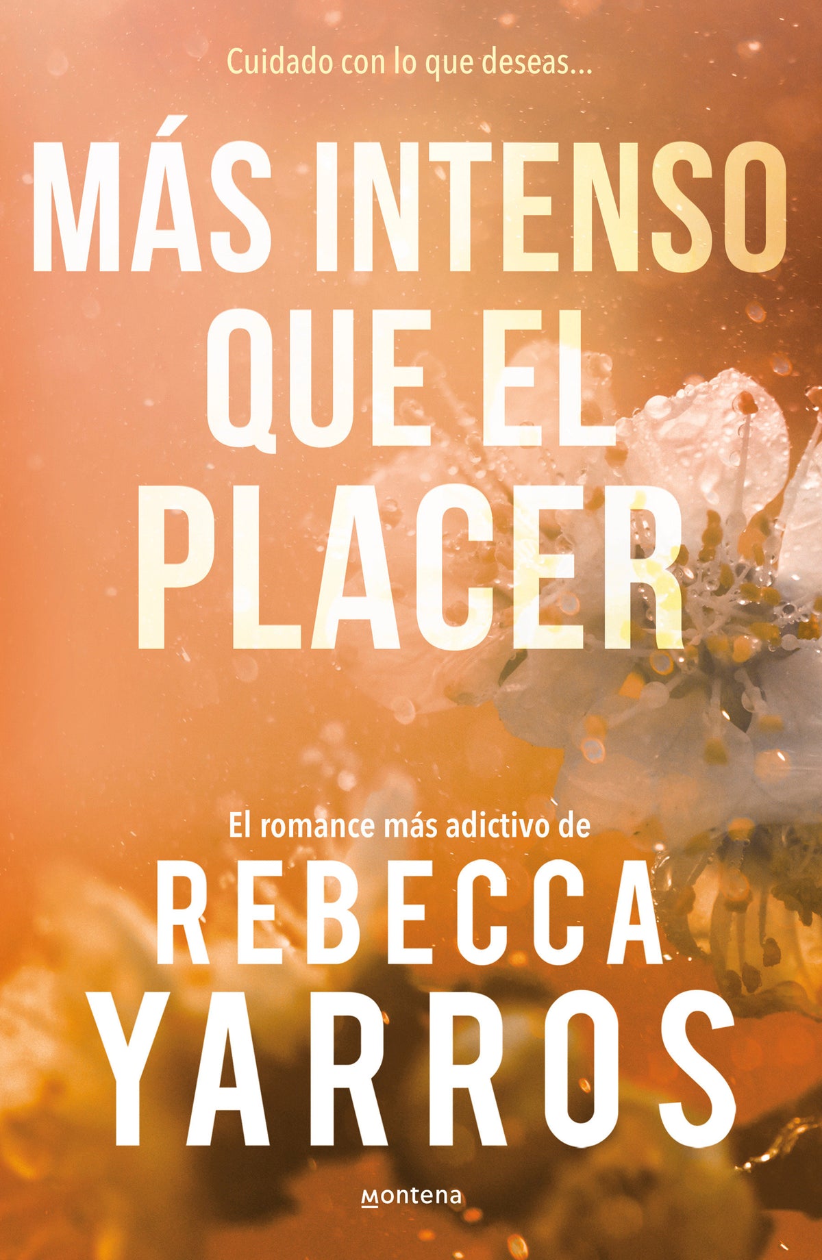 Más intenso que el placer / Beyond What is Given (Flight & Glory Book 3) cover (ISBN 9786073869584) [onix:2e418c7882742e81ec3a53ff6c6214ac]