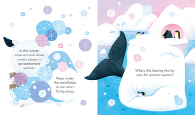 Peep Inside Snowy Places interior 1 (ISBN 9781474983808) [onix-asset:d19739fc8e2baf3bd0b9cda332d3b6d520439cc0848e9a435f73dde5c823812b]