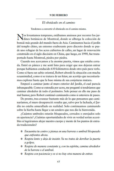 El libro del despertar: Vive la vida que quieres viviendo la vida que tienes (Edición actualizada) / The Book of Awakening interior 5 (ISBN 9798890983114) [onix:ff05efbfeeed7c03ee41795878cd1b9e]