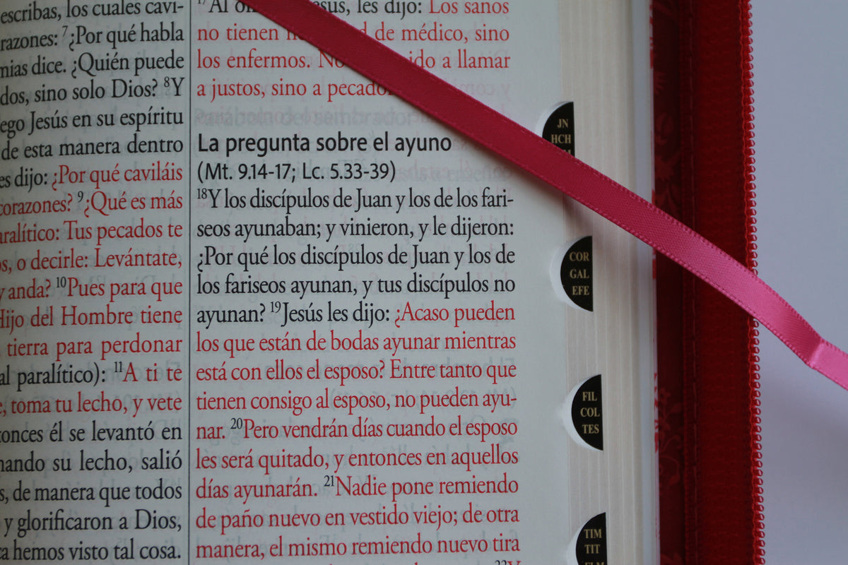 Biblia RVR 1960 letra gigante, tamaño manual, símil piel rosada, cremallera, índice / Spanish Bible RVR 1960 Giant Print, handy Size, Pink Leathersoft interior 7 (ISBN 9798890985088) [onix:8daf9d123e40b099633ae35a472aec77]