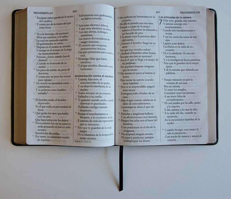 Biblia Reina Valera Revisada 1960 letra súper gigante, símil piel negro / Spanish Bible RVR 1960 Super Giant Print, Black Leathersoft interior 5 (ISBN 9798890980038) [onix:7801f8ca6e3c77c558313322407749fa]