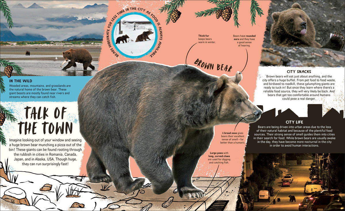 Wildlife Cities interior 1 (ISBN 9780241835371) [onix-asset:4e5eafac0dd4729b76fcc49ba116a42bae02190837a7bce5a22741bc012aa8e7]