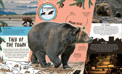 Wildlife Cities interior 1 (ISBN 9780241835371) [onix-asset:4e5eafac0dd4729b76fcc49ba116a42bae02190837a7bce5a22741bc012aa8e7]