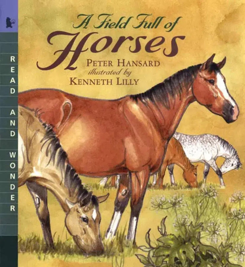 A Field Full of Horses-Children’s / Teenage general interest: Nature and animals-買書書 BuyBookBook