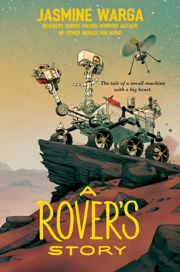 A Rover's Story-Children’s / Teenage fiction: General and modern fiction-買書書 BuyBookBook