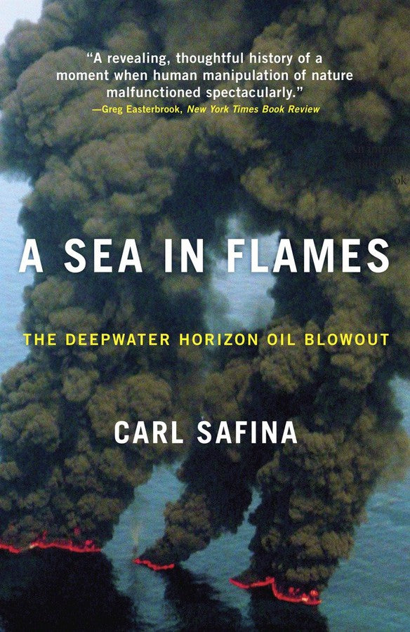 A Sea in Flames-Society/ culture/ social sciences-買書書 BuyBookBook