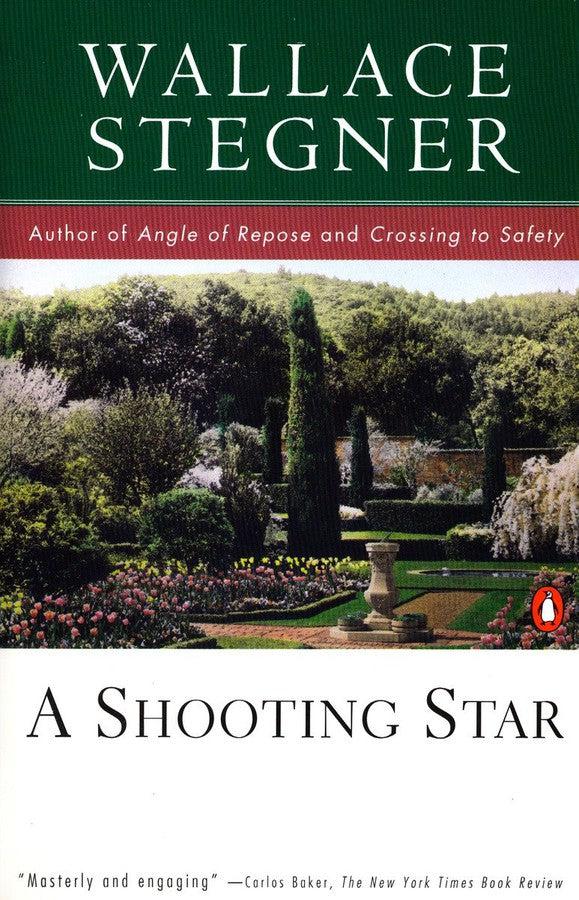 A Shooting Star-Fiction: general and literary-買書書 BuyBookBook