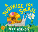 A Surprise for Snail-Children’s / Teenage fiction: Relationship stories-買書書 BuyBookBook