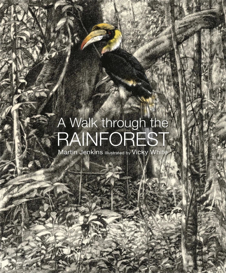 A Walk Through the Rain Forest-Children’s / Teenage general interest: Nature and animals-買書書 BuyBookBook