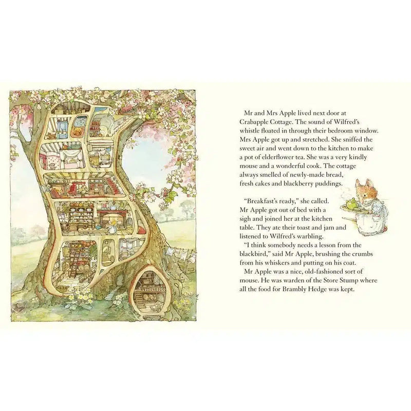 A Year in Brambly Hedge Collection (4 Books) Harpercollins (UK)