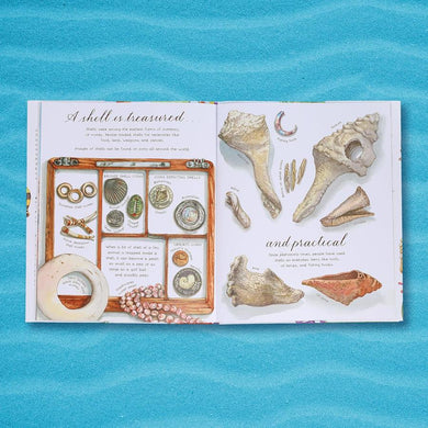 A Shell Is Cozy-Children’s / Teenage: Other general interest-買書書 BuyBookBook