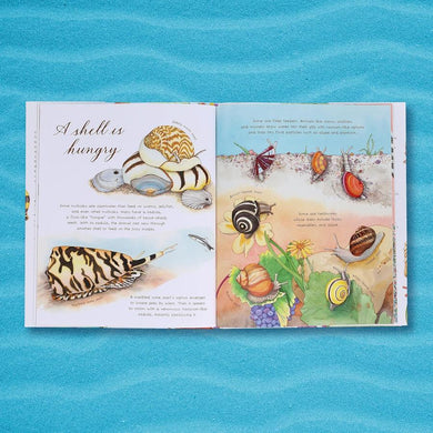 A Shell Is Cozy-Children’s / Teenage: Other general interest-買書書 BuyBookBook