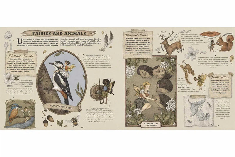 A Natural History of Fairies-Nonfiction: 參考百科 Reference & Encyclopedia-買書書 BuyBookBook