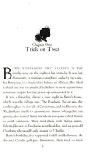 A Pinch of Magic Adventure