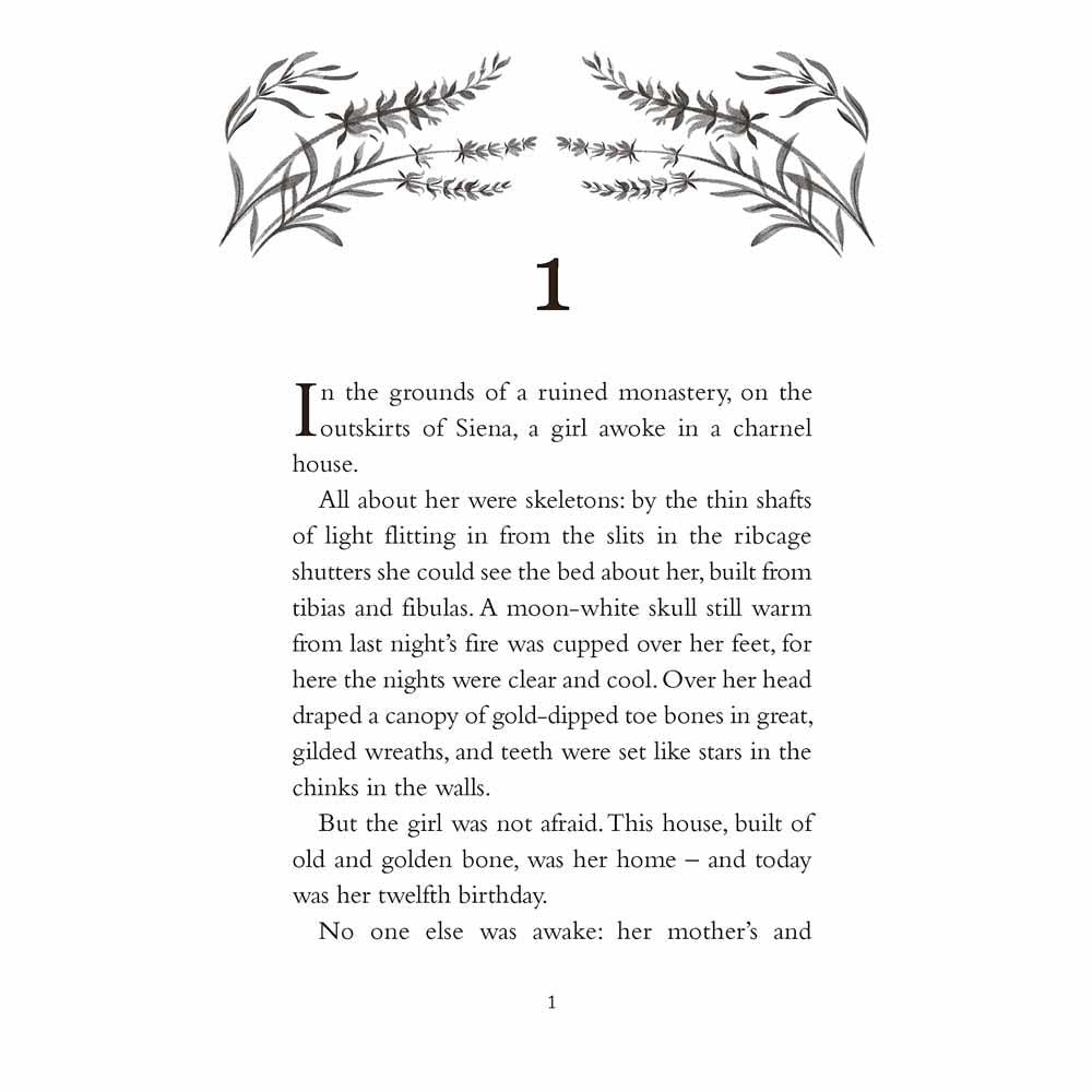 A Secret of Birds & Bone Scholastic UK