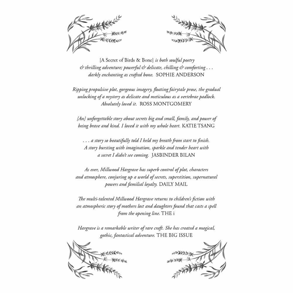 A Secret of Birds & Bone Scholastic UK