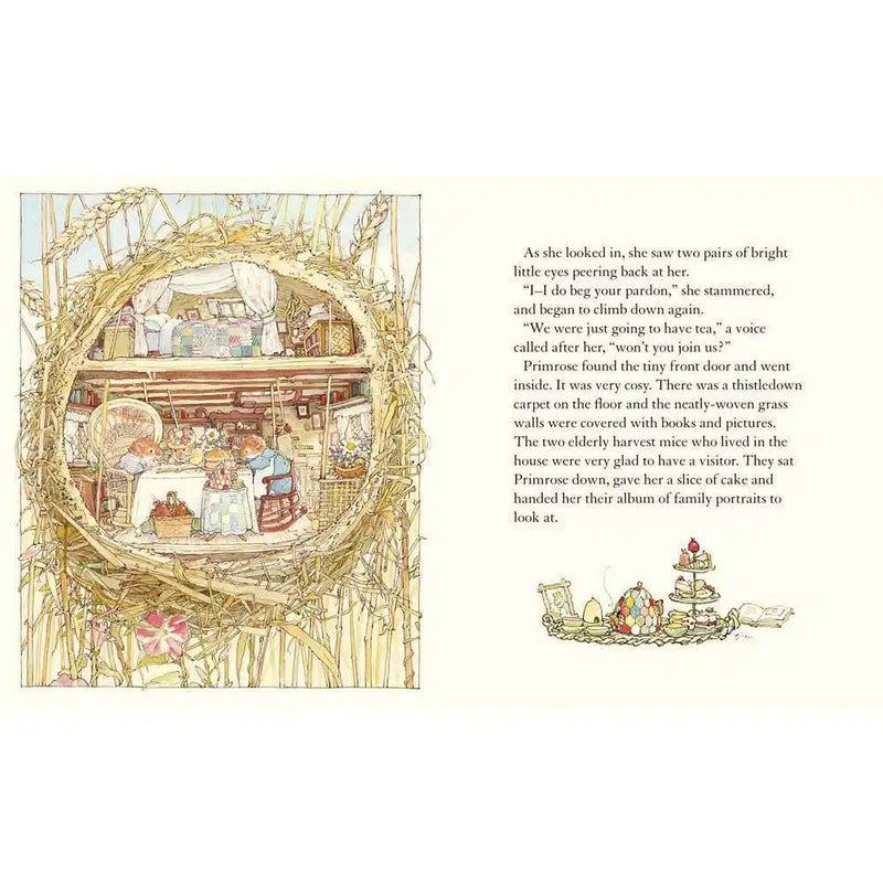 A Year in Brambly Hedge Collection (4 Books) Harpercollins (UK)
