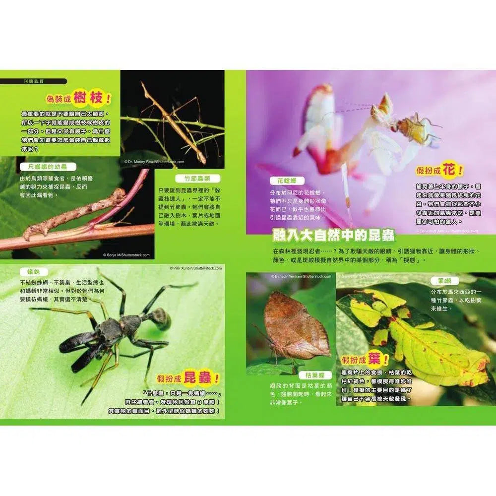 哆啦A夢科學任意門#11 終極昆蟲發現機 (藤子·F·不二雄)-非故事: 科學科技 Science & Technology-買書書 BuyBookBook