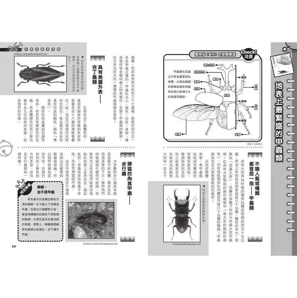 哆啦A夢科學任意門#11 終極昆蟲發現機 (藤子·F·不二雄)-非故事: 科學科技 Science & Technology-買書書 BuyBookBook