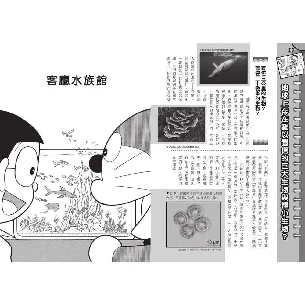 哆啦A夢科學任意門#13 小小世界顯微鏡 (藤子·F·不二雄)-非故事: 科學科技 Science & Technology-買書書 BuyBookBook
