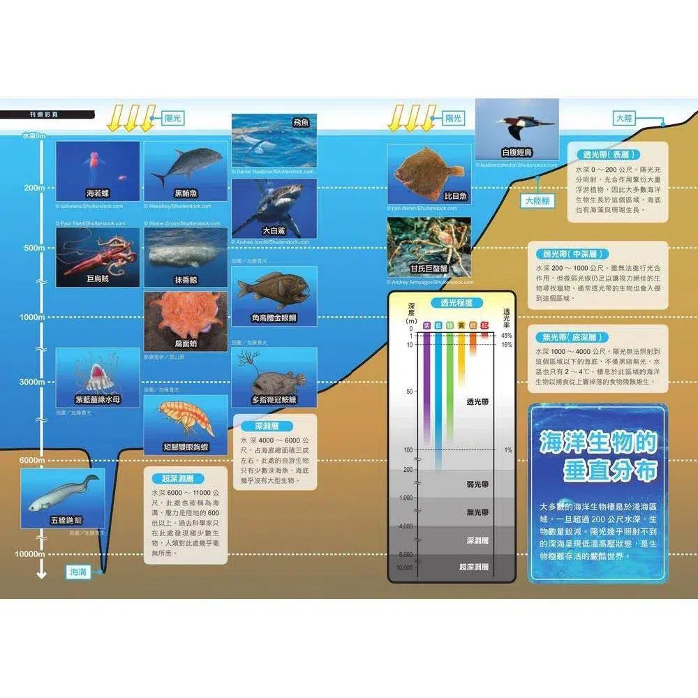 哆啦A夢科學任意門#14 海底迷宮探測號 (藤子·F·不二雄)-非故事: 科學科技 Science & Technology-買書書 BuyBookBook