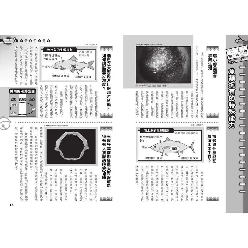 哆啦A夢科學任意門#14 海底迷宮探測號 (藤子·F·不二雄)-非故事: 科學科技 Science & Technology-買書書 BuyBookBook