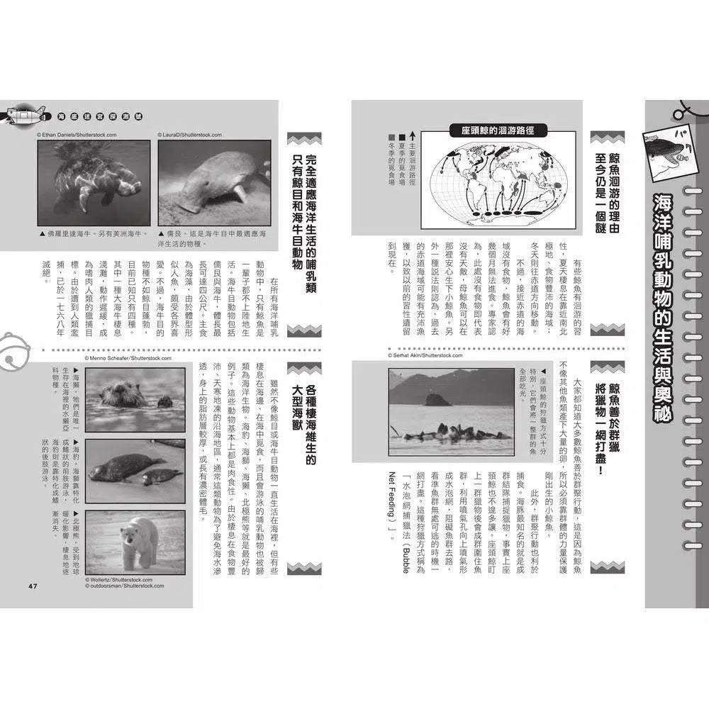 哆啦A夢科學任意門#14 海底迷宮探測號 (藤子·F·不二雄)-非故事: 科學科技 Science & Technology-買書書 BuyBookBook
