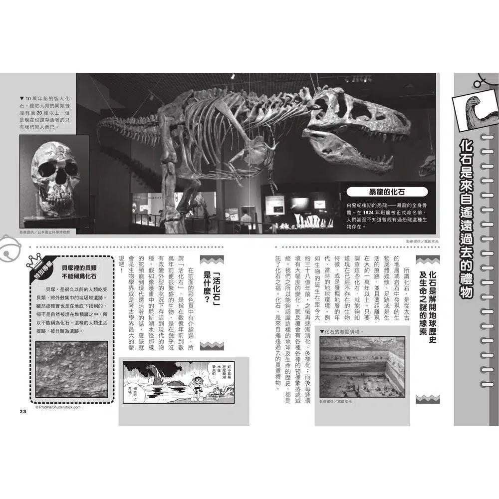 哆啦A夢科學任意門#15 神祕化石時光布 (藤子·F·不二雄)-非故事: 科學科技 Science & Technology-買書書 BuyBookBook