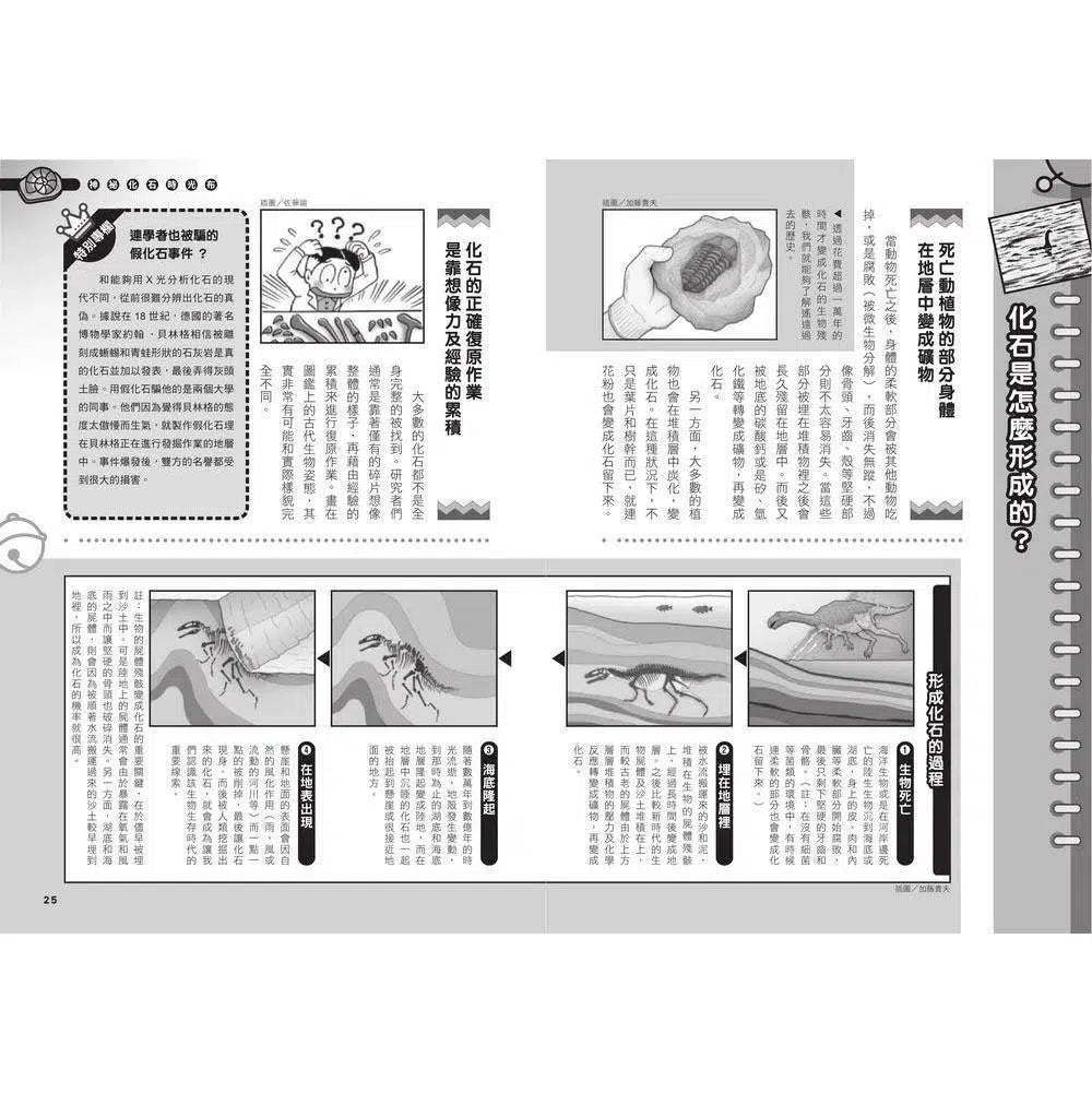 哆啦A夢科學任意門#15 神祕化石時光布 (藤子·F·不二雄)-非故事: 科學科技 Science & Technology-買書書 BuyBookBook
