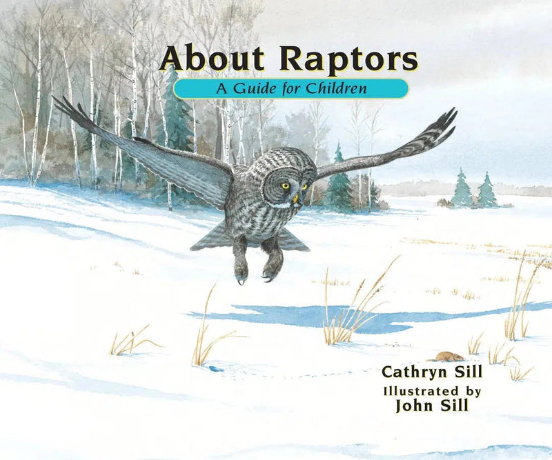 About Raptors-Children’s / Teenage general interest: Birds-買書書 BuyBookBook