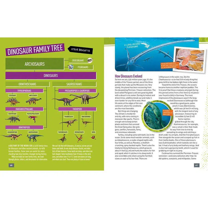 NGK Absolute Expert: Dinosaurs (Hardback) National Geographic