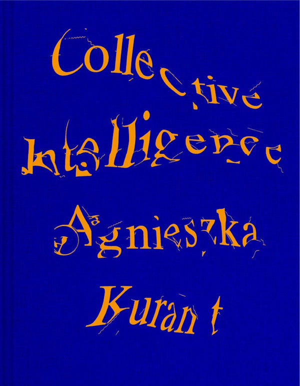 Agnieszka Kurant Collective Intelligence-Individual artists, art monographs-買書書 BuyBookBook