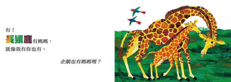 艾瑞卡爾硬頁書全系列（一套9本）-故事: 兒童繪本 Picture Books-買書書 BuyBookBook