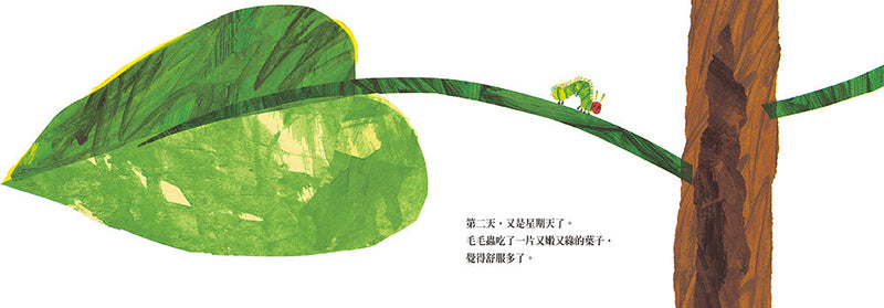 艾瑞卡爾硬頁書全系列（一套9本）-故事: 兒童繪本 Picture Books-買書書 BuyBookBook