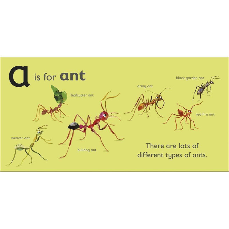 A is for Ant (Board book) DK UK