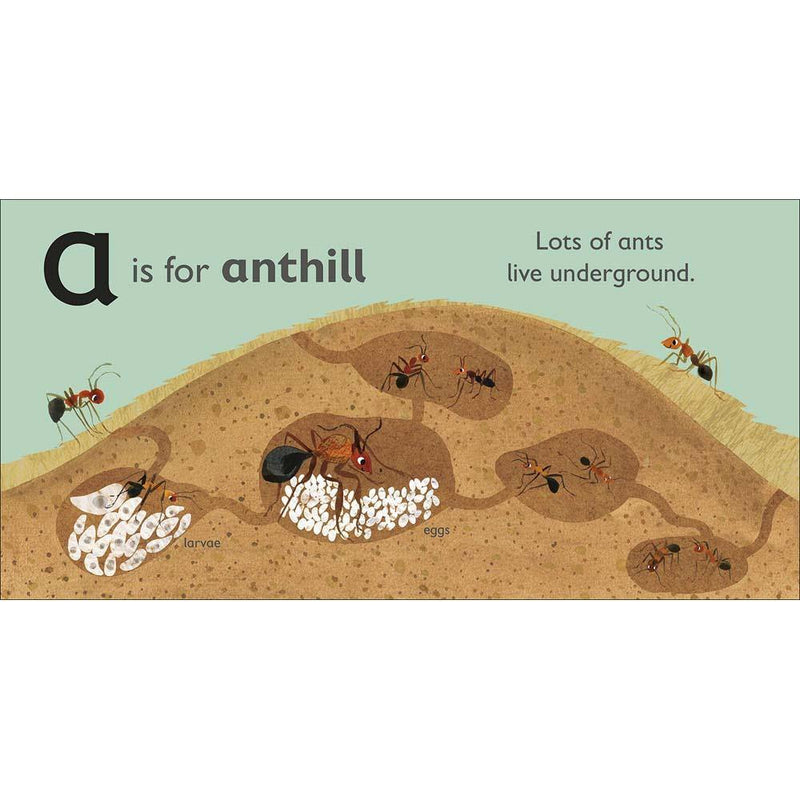 A is for Ant (Board book) DK UK