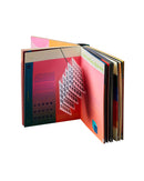 Alphabet in Motion: How Letters Get Their Shape