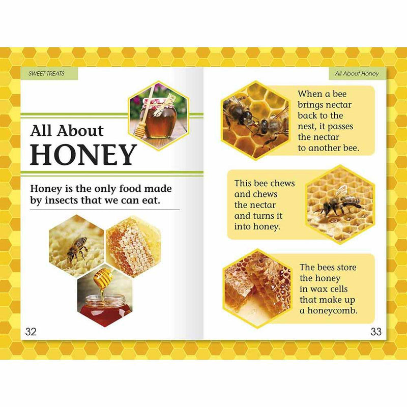 DK Readers - Amazing Bees (Level 2) (Paperback) DK US