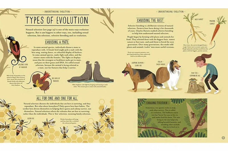 Amazing Evolution-Nonfiction: 動物植物 Animal & Plant-買書書 BuyBookBook