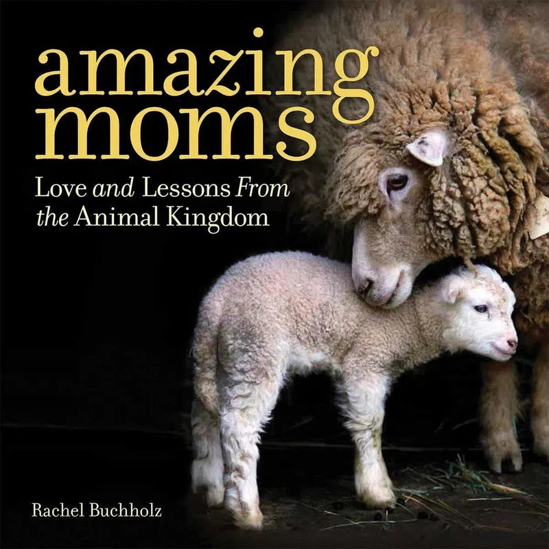 Amazing Moms-Photography and photographs-買書書 BuyBookBook