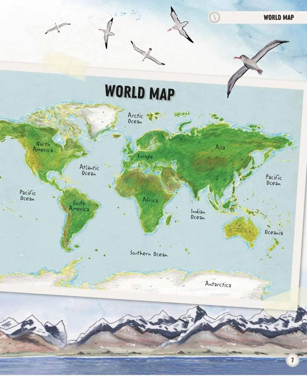 Amazing Animal Journeys-Children’s / Teenage general interest: Wildlife and habitats-買書書 BuyBookBook