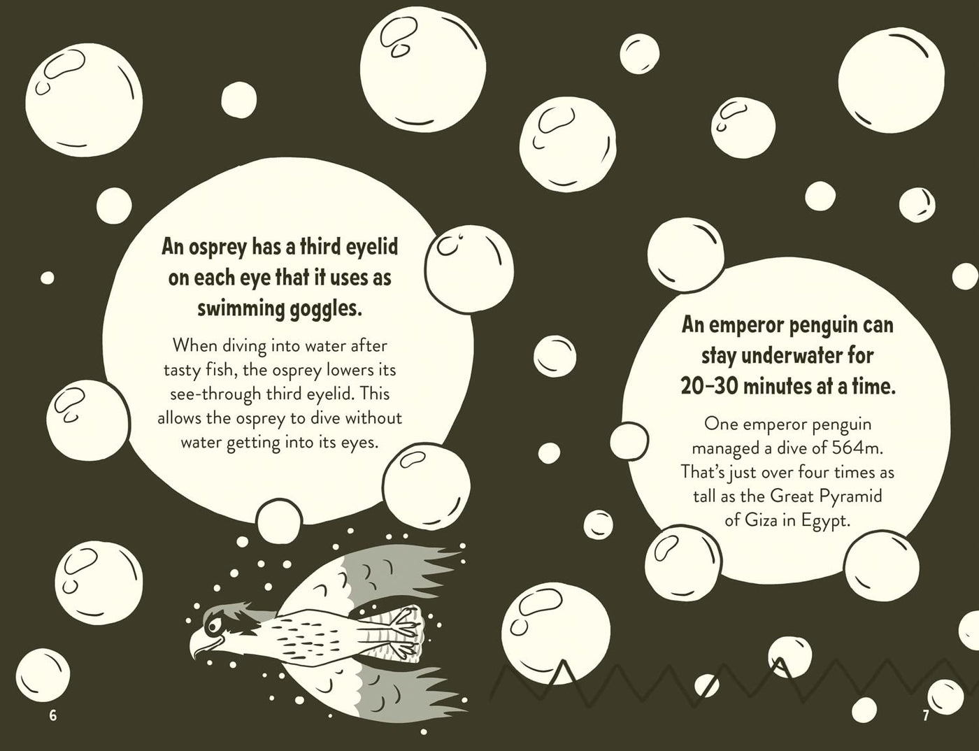 Amazing Facts Every 10 Year Old Needs to Know (Clive Gifford)-Nonfiction: 科學科技 Science & Technology-買書書 BuyBookBook